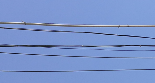 1532672823121072188.png blob.png